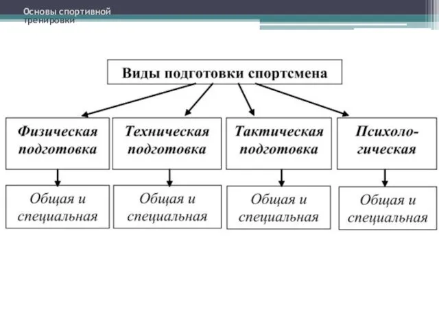 Основы спортивной тренировки