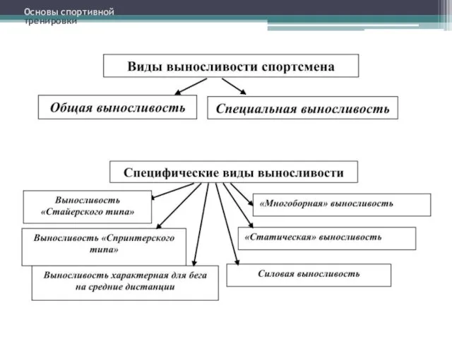 Основы спортивной тренировки