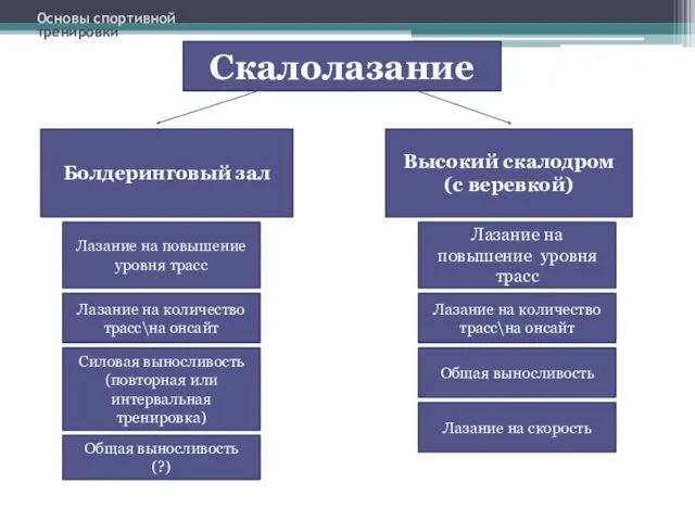 Скалолазание Болдеринговый зал Высокий скалодром (с веревкой) Общая выносливость Силовая