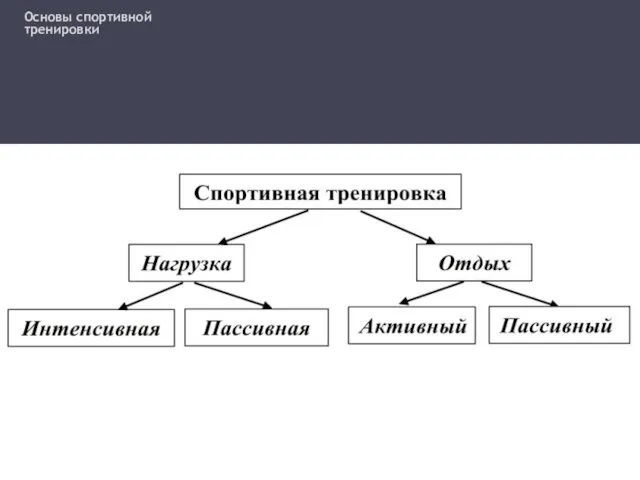 Основы спортивной тренировки Основы спортивной тренировки