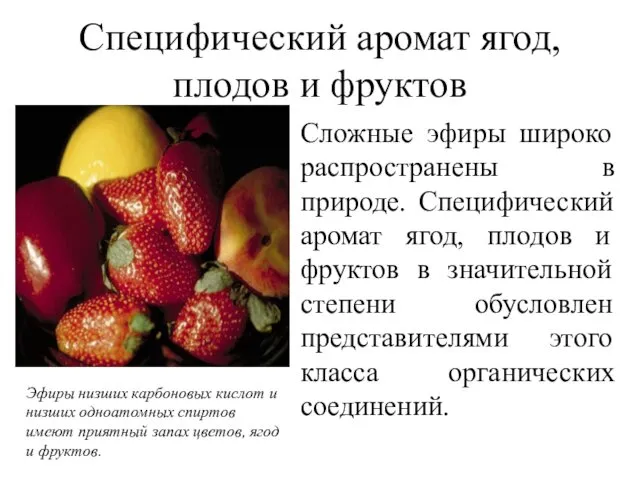 Специфический аромат ягод, плодов и фруктов Сложные эфиры широко распространены