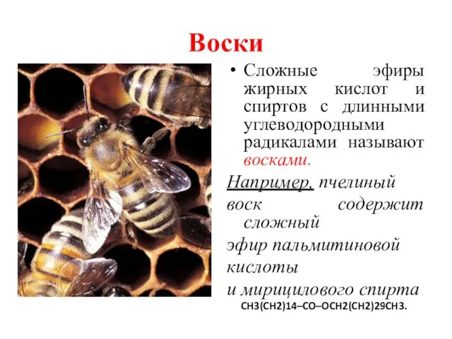 Воски Сложные эфиры жирных кислот и спиртов с длинными углеводородными