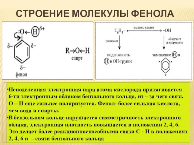 СТРОЕНИЕ МОЛЕКУЛЫ ФЕНОЛА