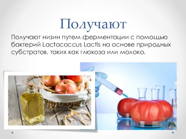 Получают Получают низин путем ферментации с помощью бактерий Lactococcus Lactis