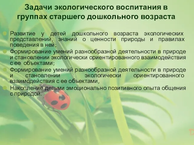 Задачи экологического воспитания в группах старшего дошкольного возраста Развитие у