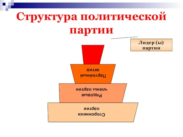 Структура политической партии Лидер (ы) партии