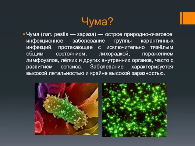 Чума? Чума (лат. pestis — зараза) — острое природно-очаговое инфекционное