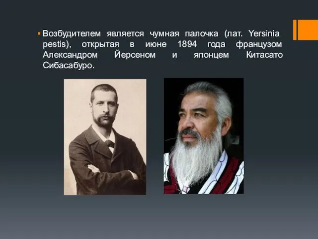 Возбудителем является чумная палочка (лат. Yersinia pestis), открытая в июне