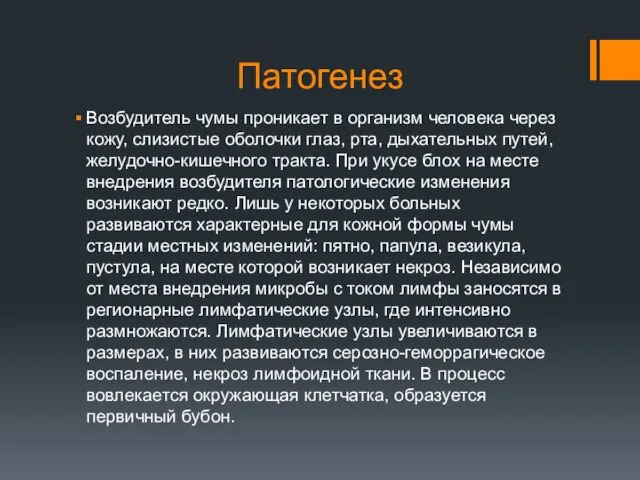 Патогенез Возбудитель чумы проникает в организм человека через кожу, слизистые