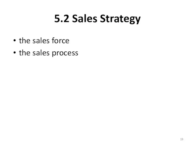 5.2 Sales Strategy the sales force the sales process