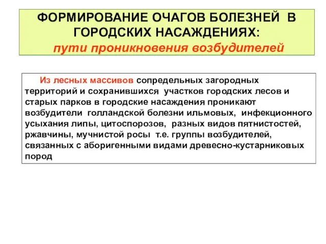 ФОРМИРОВАНИЕ ОЧАГОВ БОЛЕЗНЕЙ В ГОРОДСКИХ НАСАЖДЕНИЯХ: пути проникновения возбудителей Из