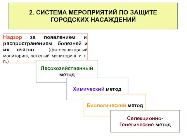 2. СИСТЕМА МЕРОПРИЯТИЙ ПО ЗАЩИТЕ ГОРОДСКИХ НАСАЖДЕНИЙ Лесохозяйственный метод Химический