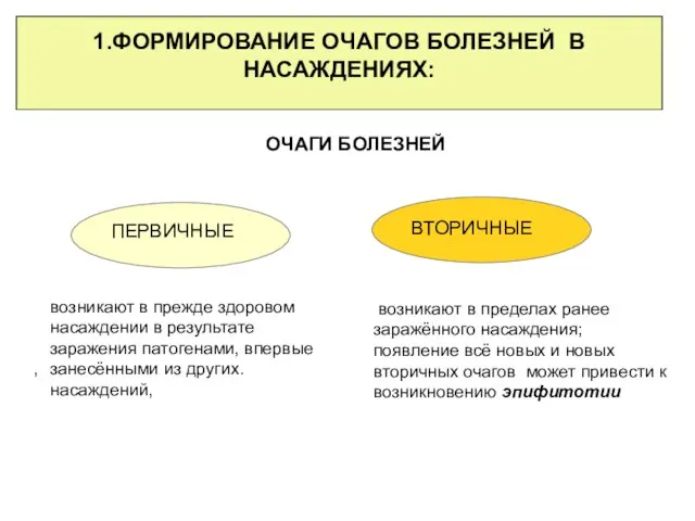 , 1.ФОРМИРОВАНИЕ ОЧАГОВ БОЛЕЗНЕЙ В НАСАЖДЕНИЯХ: ОЧАГИ БОЛЕЗНЕЙ ПЕРВИЧНЫЕ ВТОРИЧНЫЕ