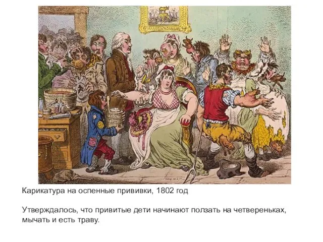 Карикатура на оспенные прививки, 1802 год Утверждалось, что привитые дети