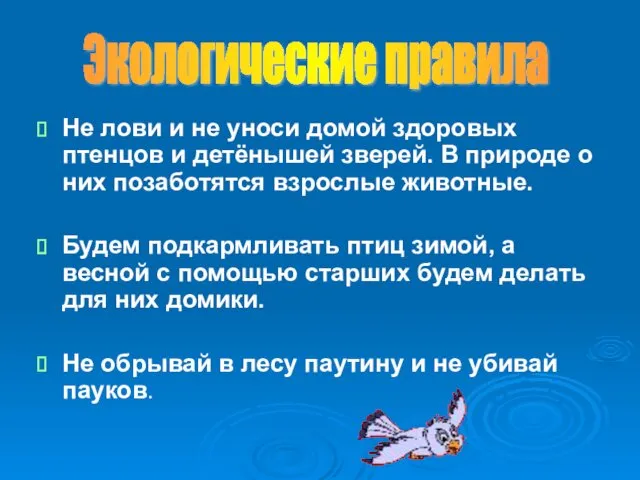 Не лови и не уноси домой здоровых птенцов и детёнышей