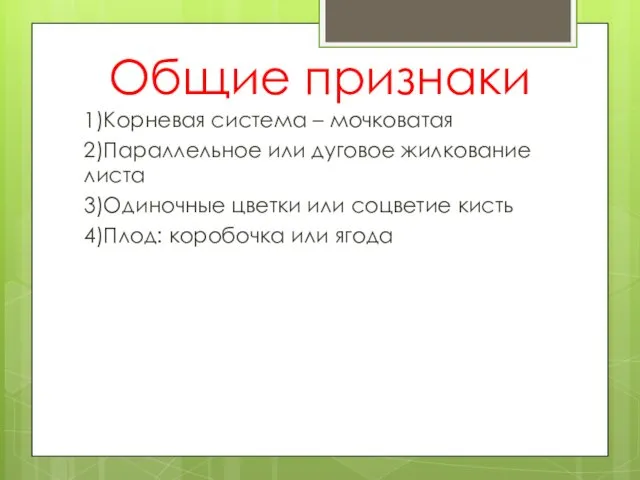 Общие признаки 1)Корневая система – мочковатая 2)Параллельное или дуговое жилкование