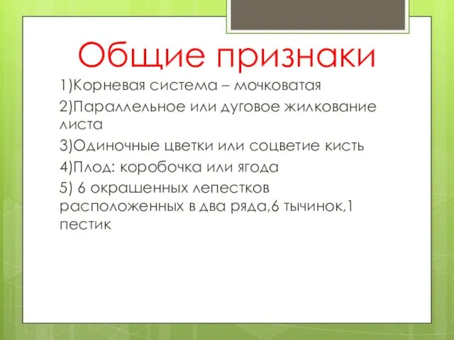 Общие признаки 1)Корневая система – мочковатая 2)Параллельное или дуговое жилкование