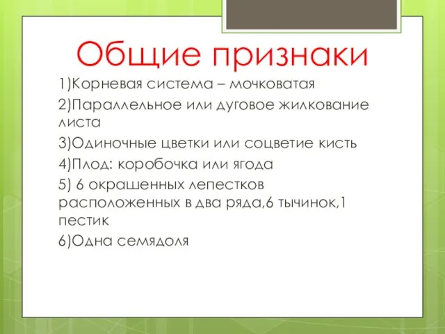 Общие признаки 1)Корневая система – мочковатая 2)Параллельное или дуговое жилкование