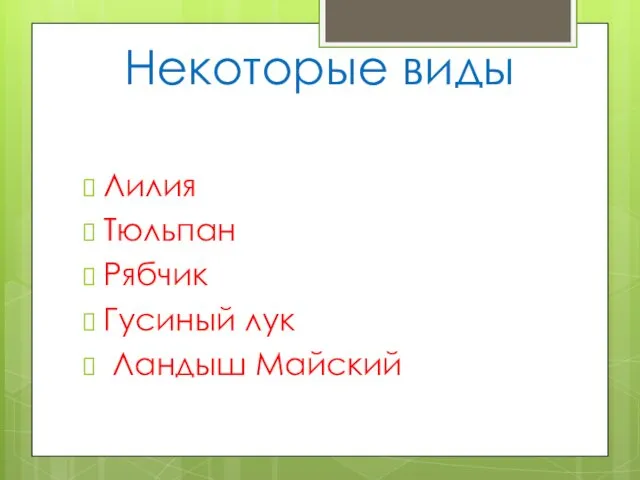 Некоторые виды Лилия Тюльпан Рябчик Гусиный лук Ландыш Майский