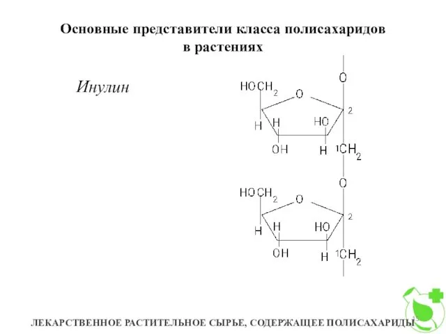 Основные представители класса полисахаридов в растениях ЛЕКАРСТВЕННОЕ РАСТИТЕЛЬНОЕ СЫРЬЕ, СОДЕРЖАЩЕЕ ПОЛИСАХАРИДЫ Инулин