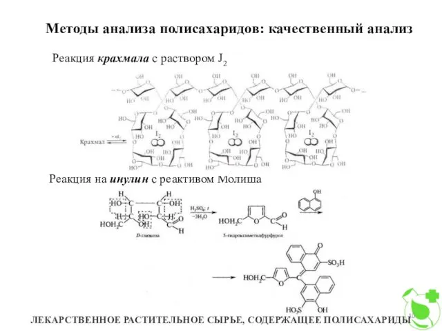 Методы анализа полисахаридов: качественный анализ ЛЕКАРСТВЕННОЕ РАСТИТЕЛЬНОЕ СЫРЬЕ, СОДЕРЖАЩЕЕ ПОЛИСАХАРИДЫ