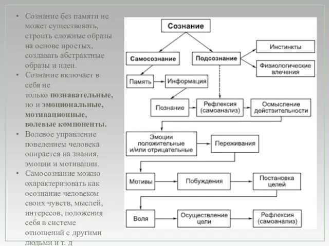 Сознание без памяти не может существовать, строить сложные образы на