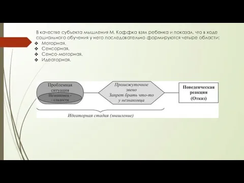 В качестве субъекта мышления М. Коффка взял ребенка и показал,