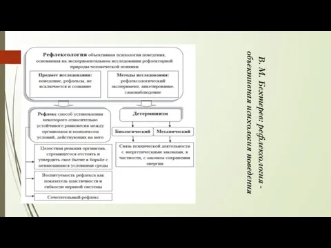 В. М. Бехтерев: рефлексология - объективная психология поведения