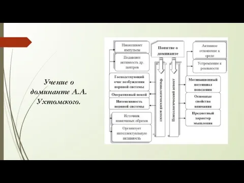 Учение о доминанте А.А.Ухтомского.