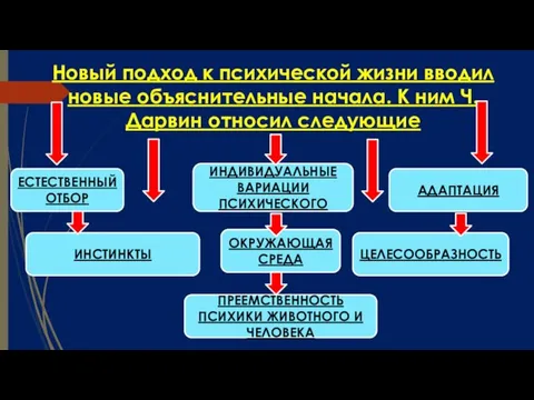 Новый подход к психической жизни вводил новые объяснительные начала. К