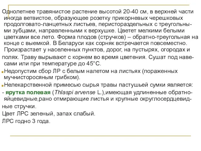 Однолетнее травянистое растение высотой 20-40 см, в верхней части иногда