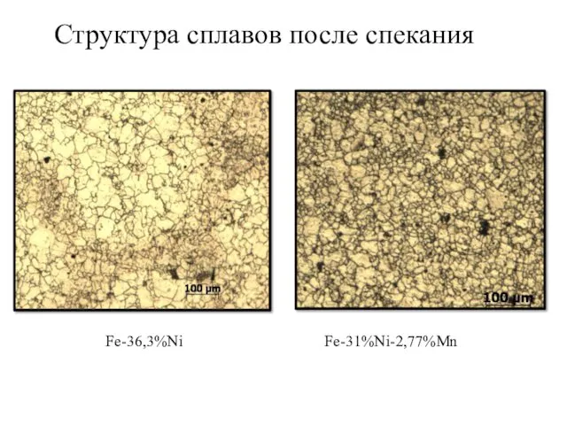 Структура сплавов после спекания Fe-36,3%Ni Fe-31%Ni-2,77%Mn