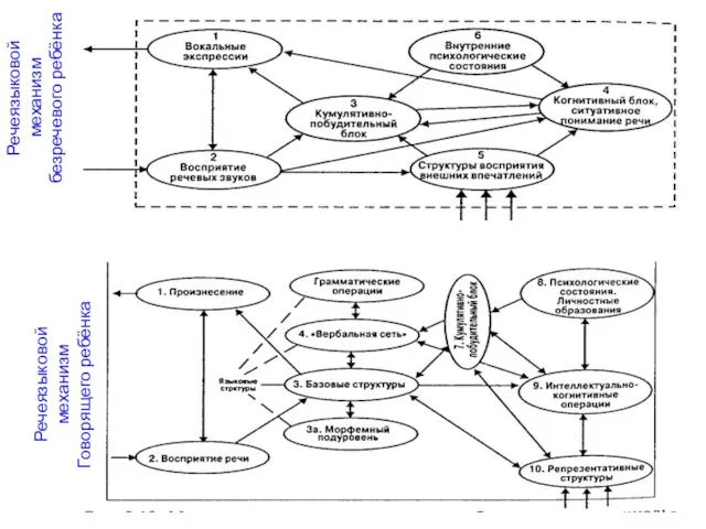 Речеязыковой механизм безречевого ребёнка Речеязыковой механизм Говорящего ребёнка