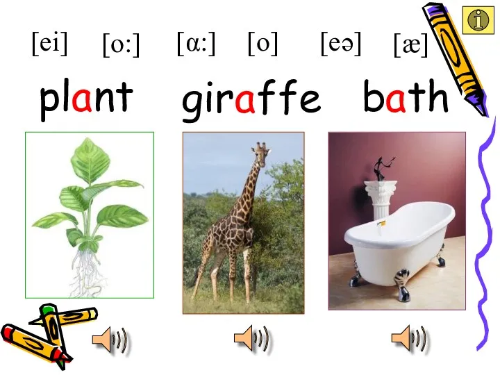 plant giraffe plant [ei] [æ] [eə] [α:] [o:] bath [o]