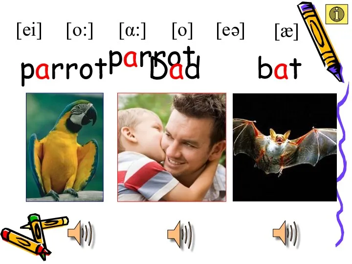 parrot Dad parrot [ei] [æ] [eə] [α:] [o:] bat [o]