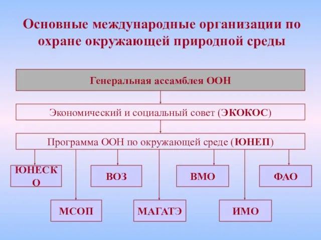 Основные международные организации по охране окружающей природной среды Генеральная ассамблея