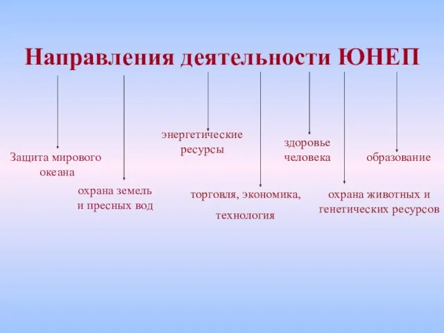 Направления деятельности ЮНЕП здоровье человека охрана животных и генетических ресурсов