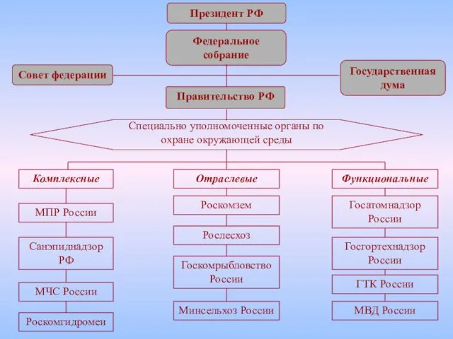 Президент РФ Федеральное собрание Правительство РФ Специально уполномоченные органы по