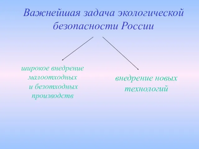 Важнейшая задача экологической безопасности России широкое внедрение малоотходных и безотходных производств внедрение новых технологий