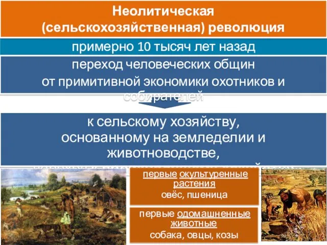 к сельскому хозяйству, основанному на земледелии и животноводстве, переход к