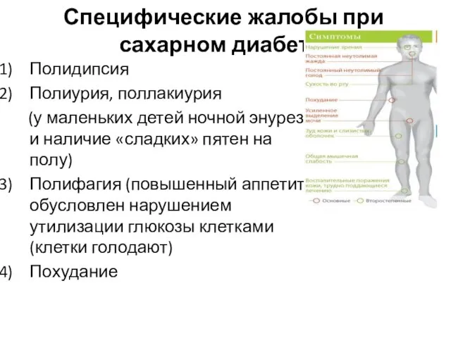 Специфические жалобы при сахарном диабете: Полидипсия Полиурия, поллакиурия (у маленьких