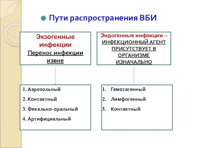 Пути распространения ВБИ Экзогенные инфекции Перенос инфекции извне Эндогенные инфекции – ИНФЕКЦИОННЫЙ АГЕНТ