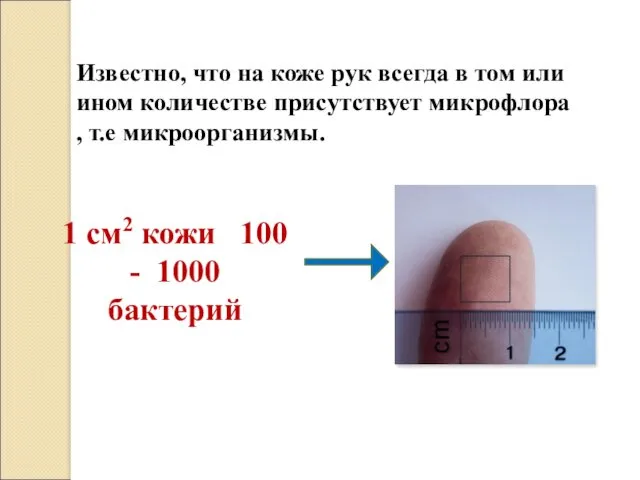 Известно, что на коже рук всегда в том или ином количестве присутствует микрофлора