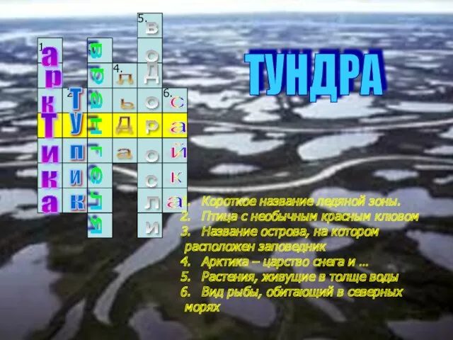 Короткое название ледяной зоны. Птица с необычным красным клювом Название