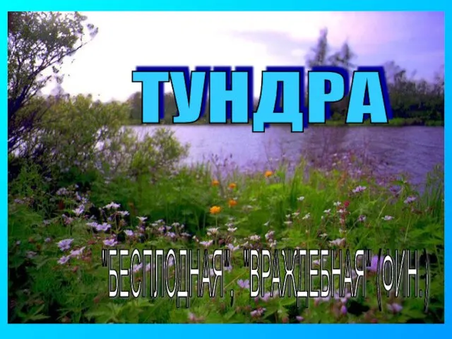 ТУНДРА "БЕСПЛОДНАЯ", "ВРАЖДЕБНАЯ" (ФИН.)