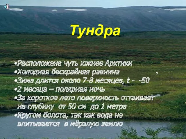 Тундра Расположена чуть южнее Арктики Холодная бескрайняя равнина o Зима