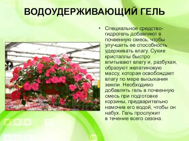 ВОДОУДЕРЖИВАЮЩИЙ ГЕЛЬ Специальное средство- гидрогель добавляют в почвенную смесь, чтобы