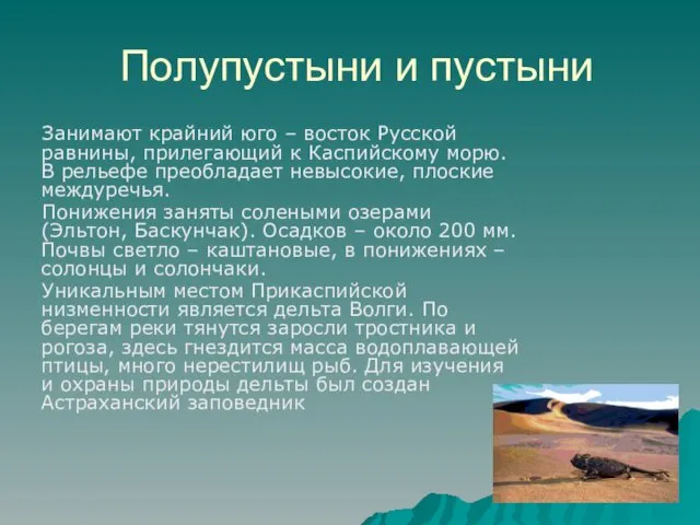 Полупустыни и пустыни Занимают крайний юго – восток Русской равнины,