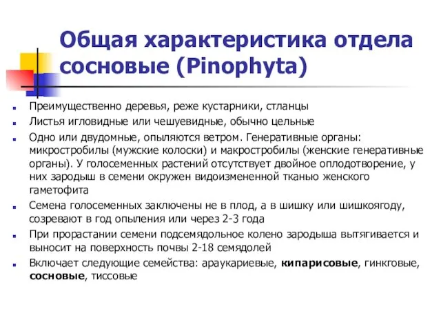 Общая характеристика отдела сосновые (Pinophyta) Преимущественно деревья, реже кустарники, стланцы