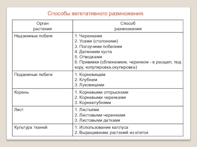 Способы вегетативного размножения.